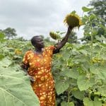 Summary of URRI Gender and Power Analysis and Baseline findings