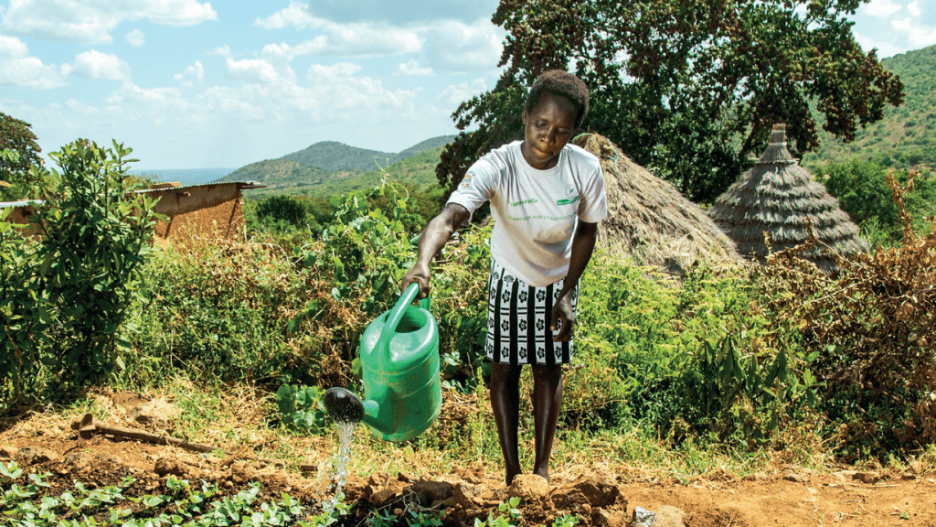 woman watering the vegetable garden