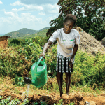 woman watering the vegetable garden